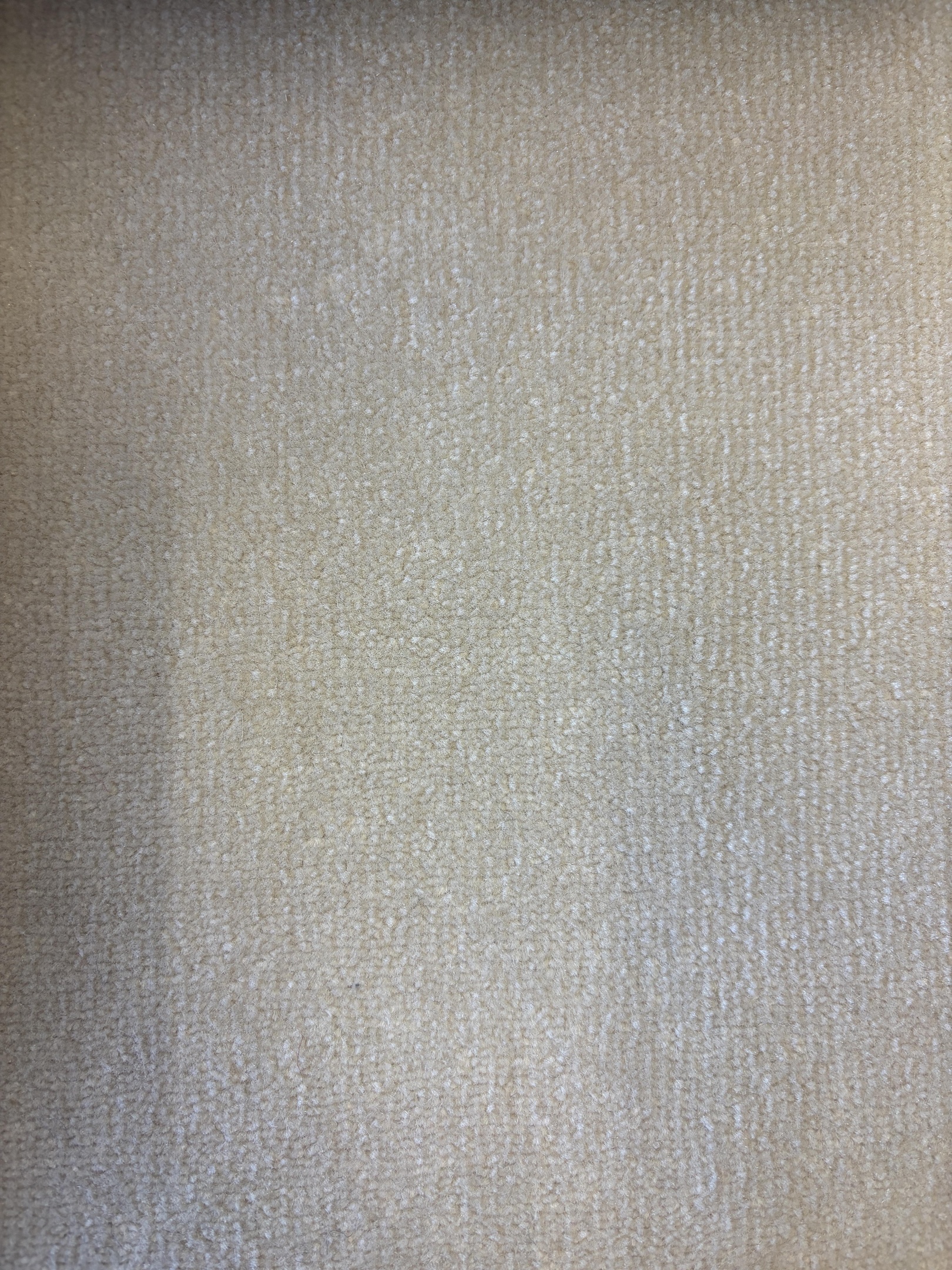 Spotlight 171 harvest