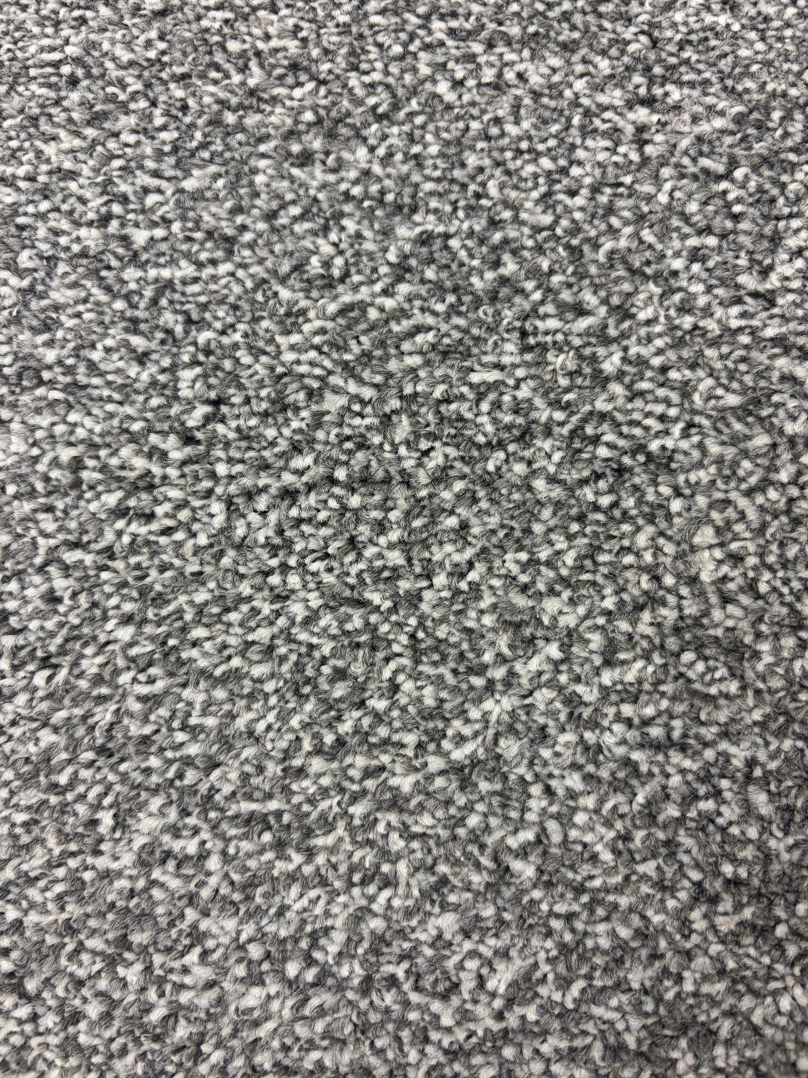 Ascot carpet