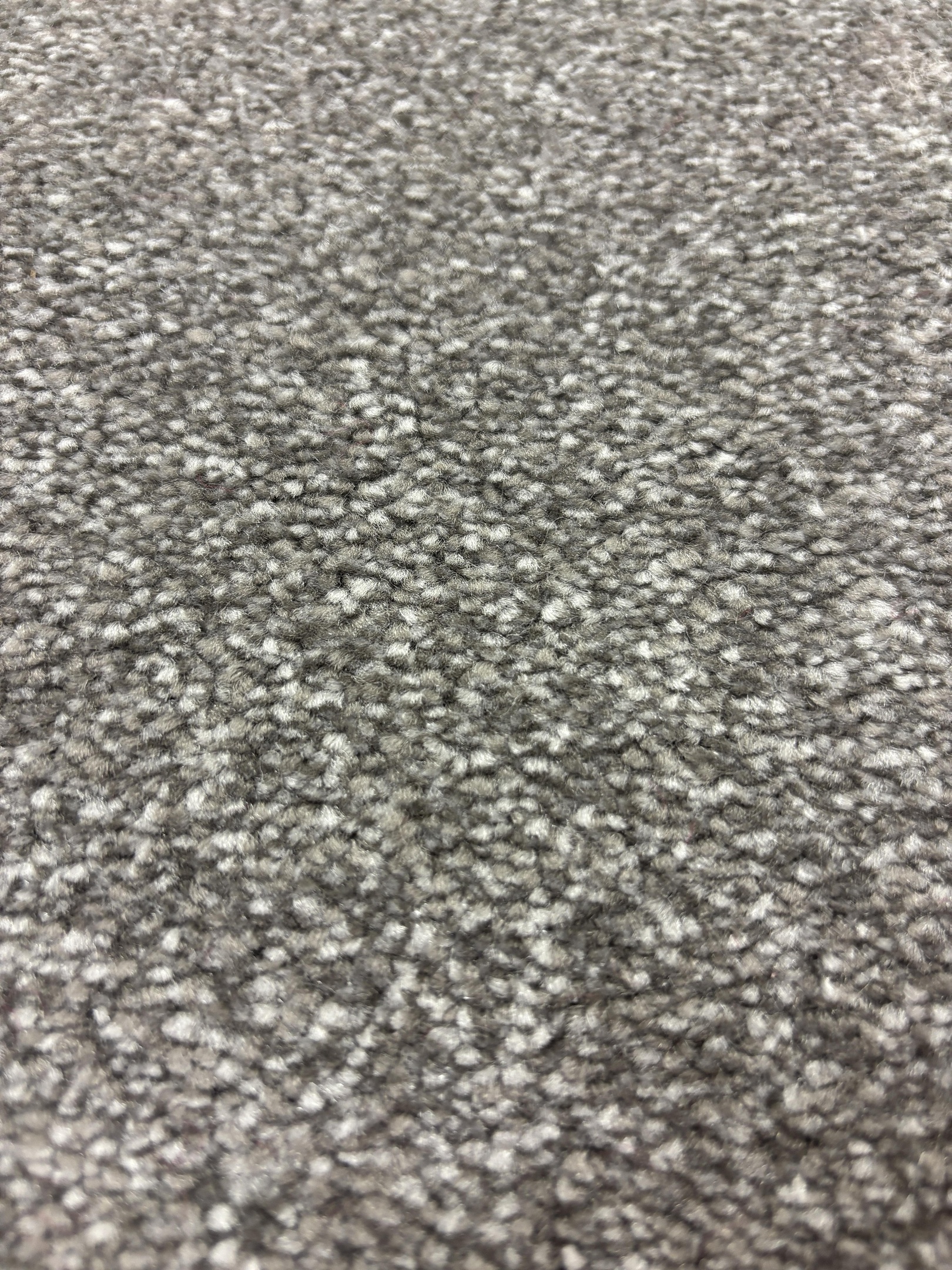 Ascot carpet